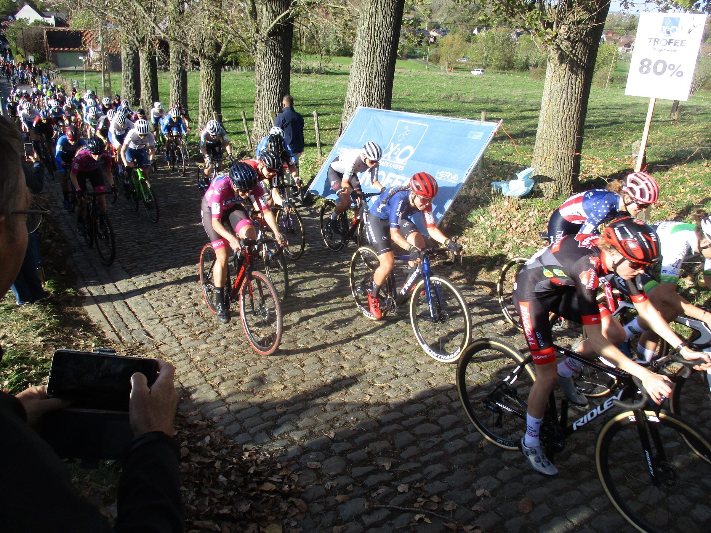Le peloton des femmes s'élance sur les pavés du Koppenberg au soleil, entre les arbres, un spectateur filmant au premier plan.